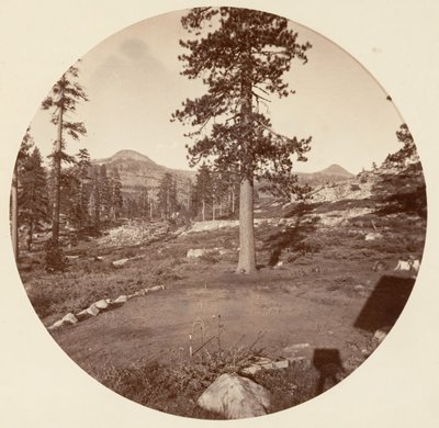 Yosemite National Park, California by Carleton Emmons Watkins