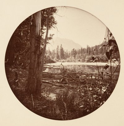 Yosemite National Park, California by Carleton Emmons Watkins