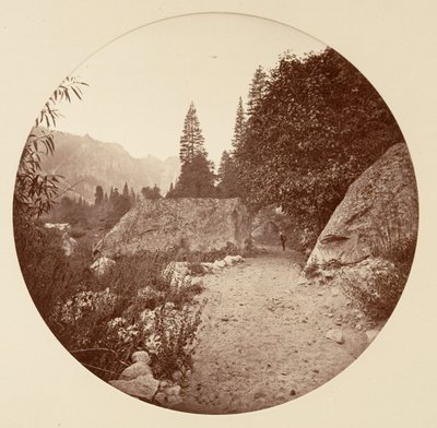 Yosemite National Park, California, ca. 1878 by Carleton Emmons Watkins