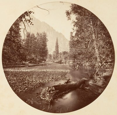 Yosemite National Park, California, ca. 1878 by Carleton Emmons Watkins