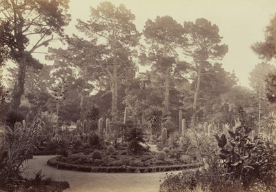 Arizona Garden, Hotel del Monte, Monterey by Carleton Watkins
