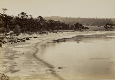 Coast View near Monterey by Carleton Watkins