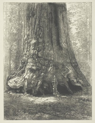 Copy of Carleton Watkins