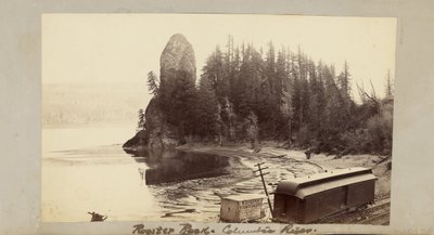 Rooster Rock, Columbia River by Carleton Watkins