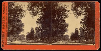 Tree-lined street view of San Gabriel, California by Carleton Watkins