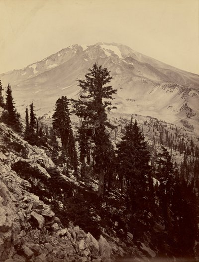 Williamsonii, Mt. Shasta by Carleton Watkins