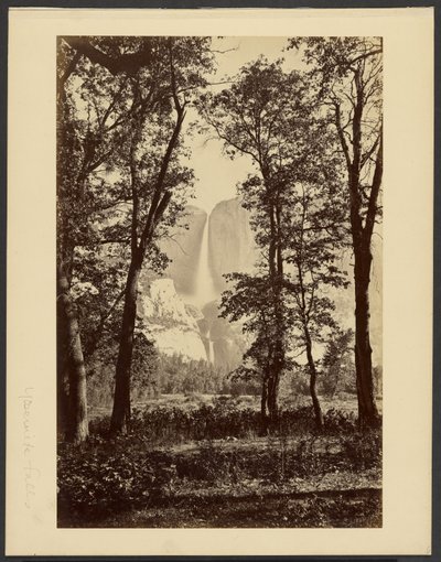 Yosemite Falls, from Below by Carleton Watkins