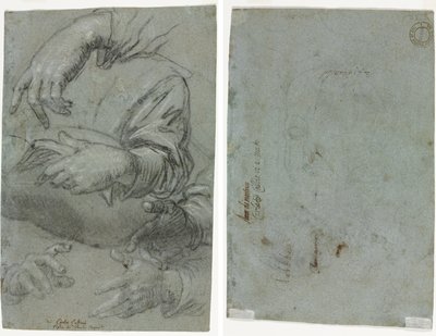 Studies of Hands (recto); Sketch of a Child