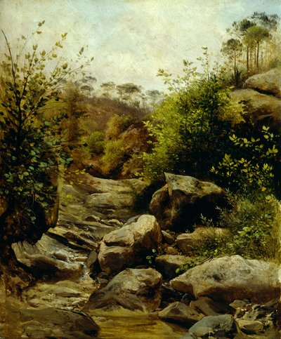 View of Scopeti through rocks by Carlo Ademollo