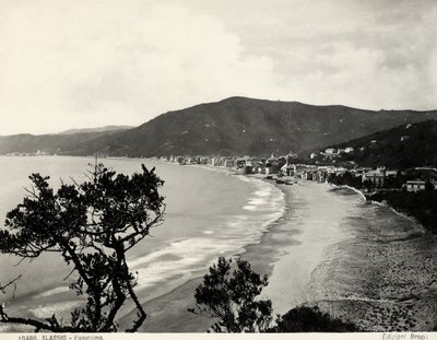 Stretch of the beach in Alassio, c.1890 by Carlo Brogi
