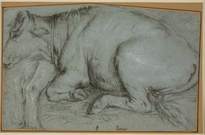 Recumbent Cow and Study for the Hind Legs of a Standing Cow by Carlo Caliari