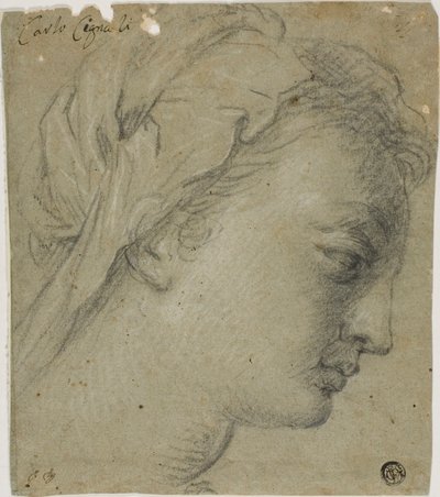 Female Head in Profile to Right by Carlo Cignani