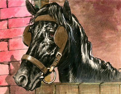 Black Beauty by Carlos Gabriel Roume
