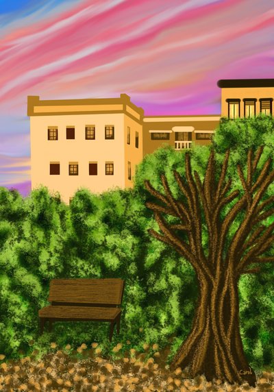 Autumn Sunrise in the City by Carol Sousa Cuello