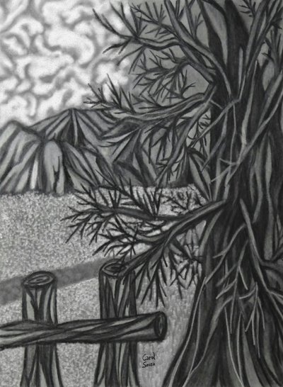 Digital Charcoal Drawing 2 by Carol Sousa Cuello