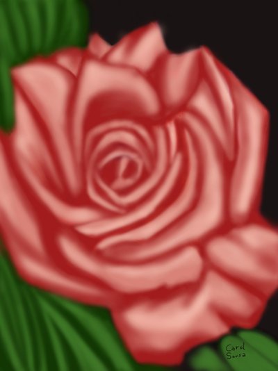 The Memory of a Rose by Carol Sousa Cuello