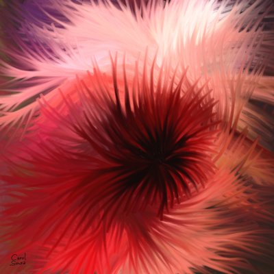 Spiral of Light and Color by Carol Sousa Cuello