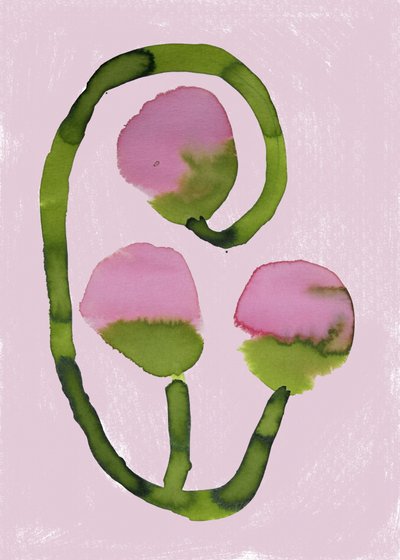 Abstract Pink Blooms by Carola Cedell