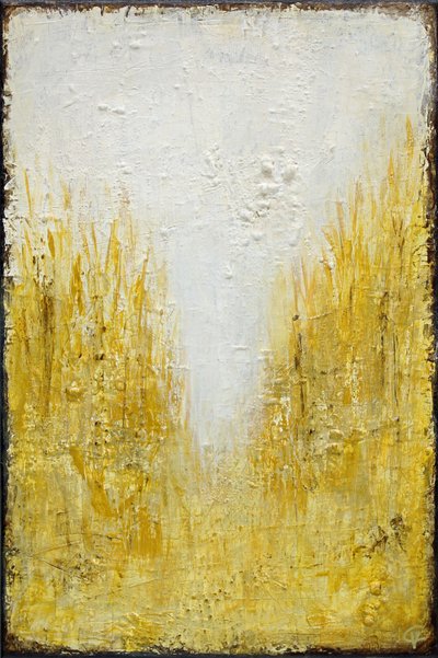 Golden Field Light by Carolina Gårdheim