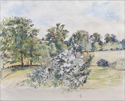 August from Our Window, 2007 by Caroline Hervey Bathurst