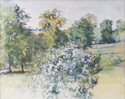 June from Our Window, 2007 by Caroline Hervey Bathurst