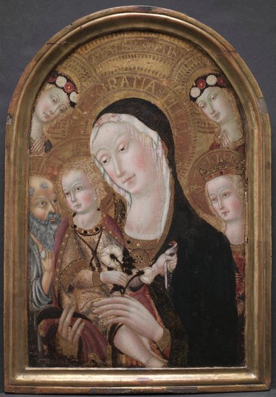 Virgin and Child with Saint Jerome and Saint Catherine of Alexandria by Carolino da Viterbo