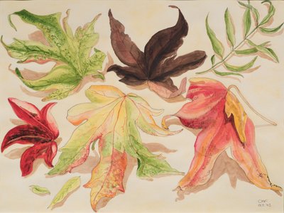 Autumn Leaves by Carolyn Hubbard Ford