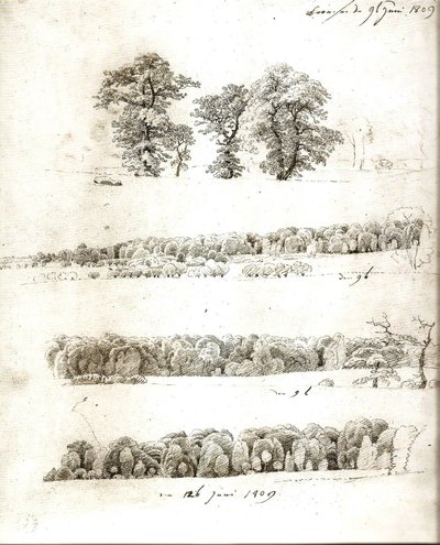 Tree Studies 1809 by Caspar David Friedrich