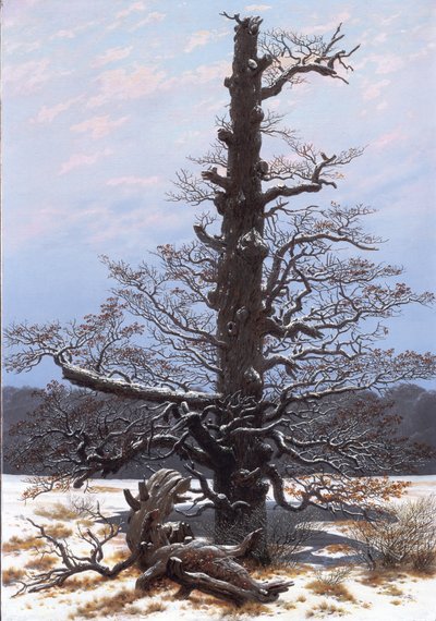 The Oaktree in the Snow by Caspar David Friedrich