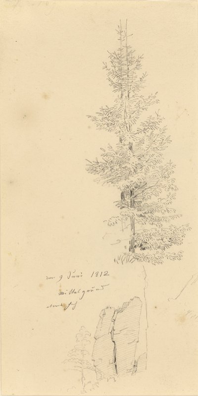 Study of Spruce Trees and a Rock by Caspar David Friedrich