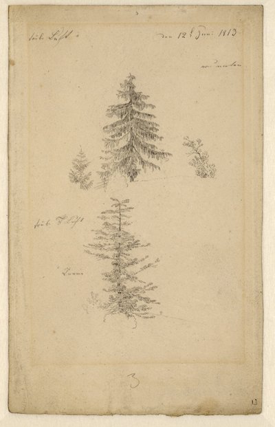 Two Studies of Fir Trees by Caspar David Friedrich