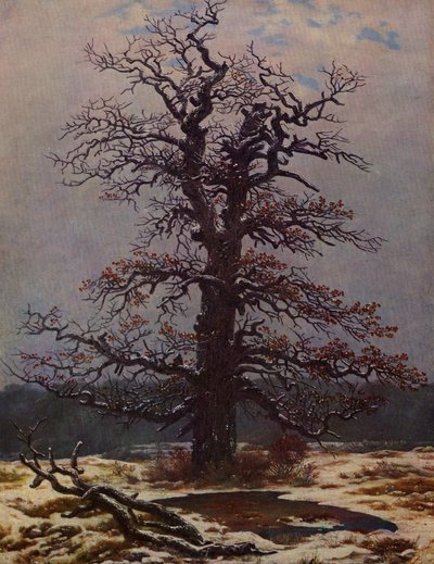 Oak in the Snow by Caspar David Friedrich