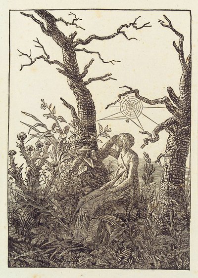 The Woman with the Spider