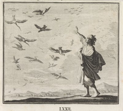 Emblem: Birds by Caspar Luyken