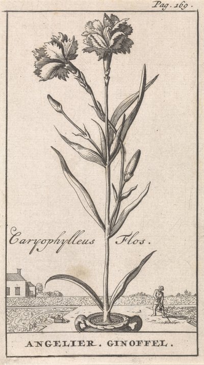 Title Page and Eight Prints with Flowers by Caspar Luyken