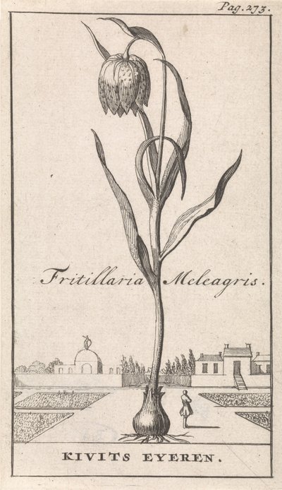 Title Page and Eight Prints with Flowers by Caspar Luyken