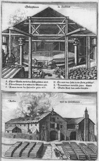 The Salt Pans at Hallstatt. From: Topographia Provinciarum, 1679 by Caspar Merian