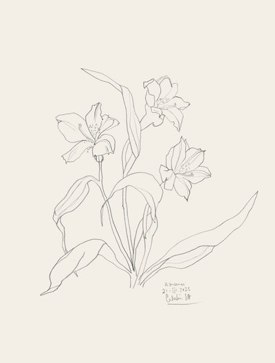 Elegant Floral Line Art by Catalina Somolinos