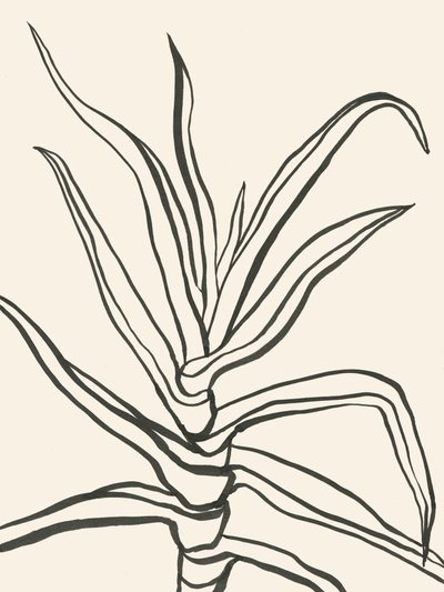 Minimalist Plant Outline by Catalina Somolinos