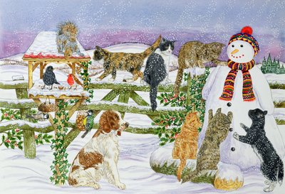 The Snowman and his Friends by Catherine Bradbury