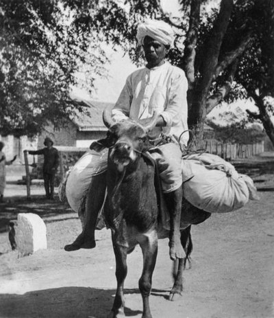 The Laundry Man, India, late 19th or early 20th century by Cavanders Ltd