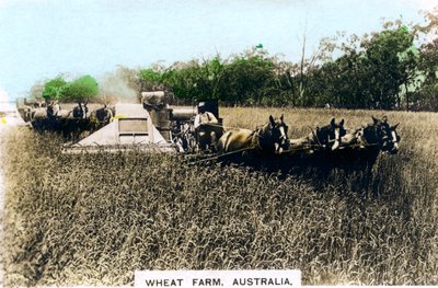 Grenfell wheat farm, Australia by Cavenders Ltd