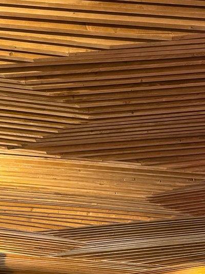 Composition - Ceiling by Cécile Jamet