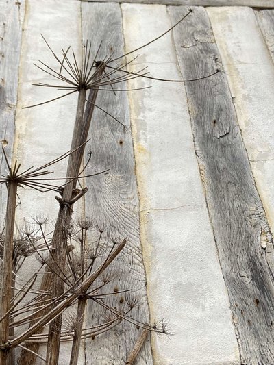 Composition, Architecture by Cécile Jamet