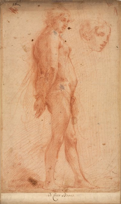 Study of a Standing Male Nude, with a Study of Head in Three-Quarter Profile by Cecco Bravo