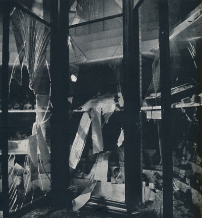 Show Cases in the Natural History Museum by Cecil Beaton