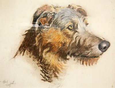 A Scottish Deer Hound by Cecil Charles Windsor Aldin
