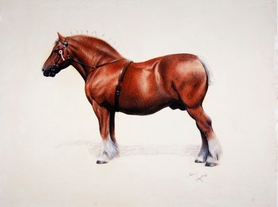 A champion Suffolk Punch by Cecil Charles Windsor Aldin