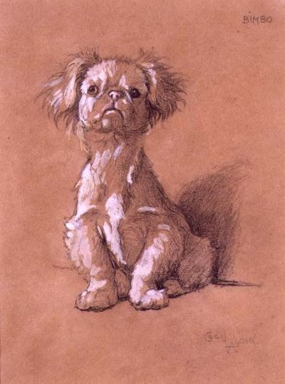 Bimbo by Cecil Charles Windsor Aldin