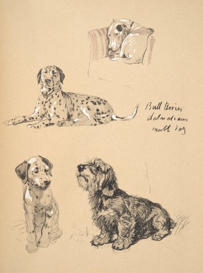 Bull Terrier, Dalmatians and Mutt Dog, 1930, Illustrations from his Sketch Book used for Just Among Friends by Cecil Charles Windsor Aldin